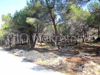 Building - catering and tourism zone, Sale, Bol, Bol