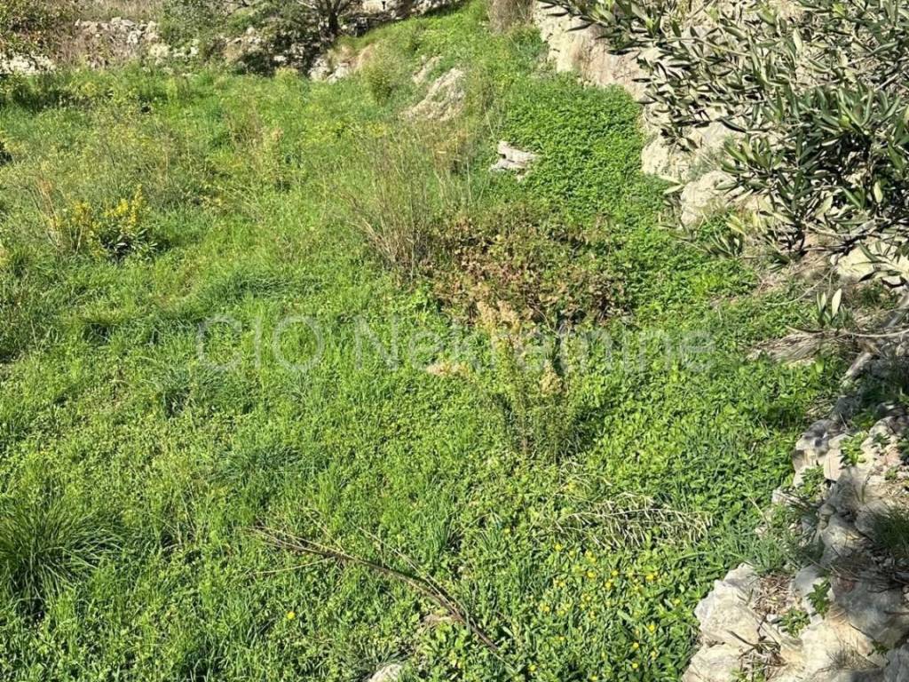 Plot for construction, Sale, Podstrana, Podstrana