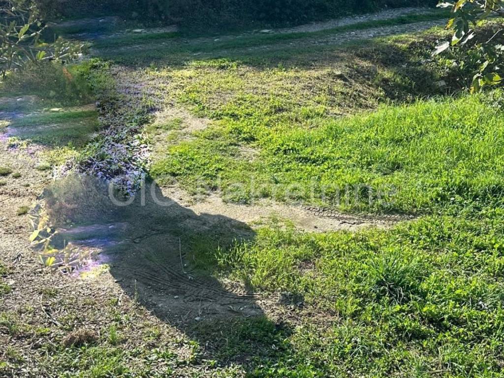 Plot for construction, Sale, Podstrana, Podstrana
