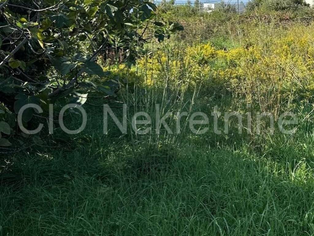 Plot for construction, Sale, Podstrana, Podstrana