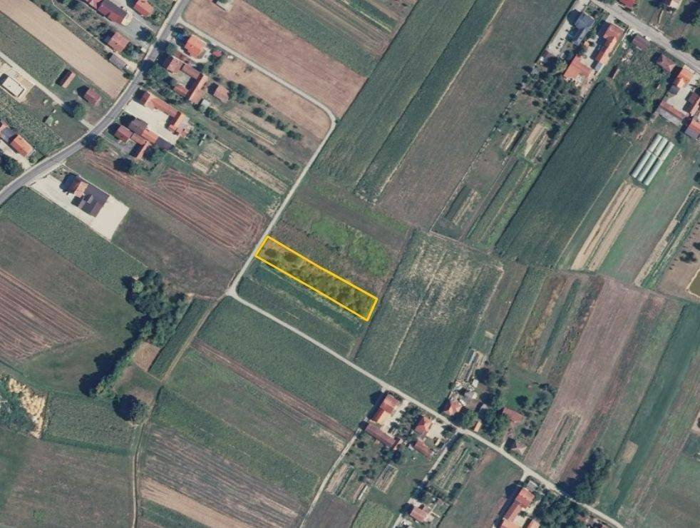 Agricultural plot, Sale, Zagreb - Okolica, Odranski Obrež