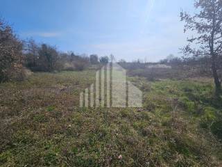 Plot for construction, Sale, Poreč, Poreč