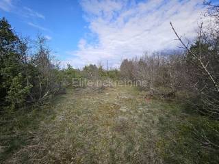 Agricultural plot, Sale, Krk, Skrbčići