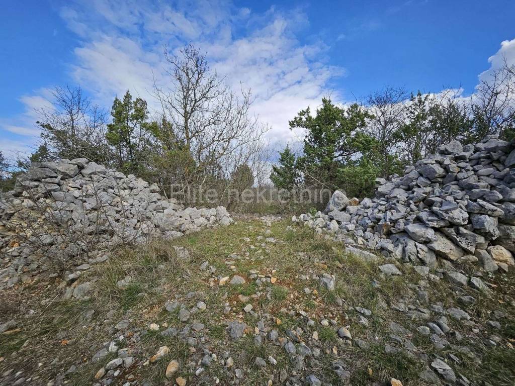 Agricultural plot, Sale, Krk, Skrbčići