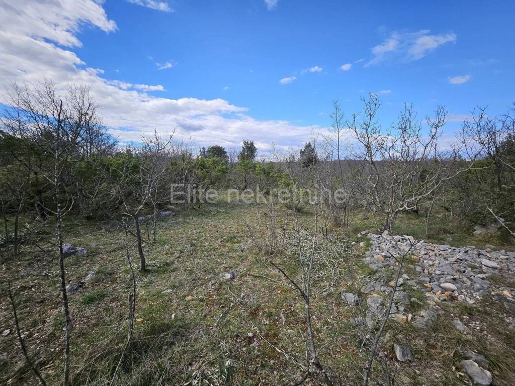 Agricultural plot, Sale, Krk, Skrbčići