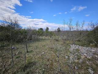 Agricultural plot, Sale, Krk, Skrbčići