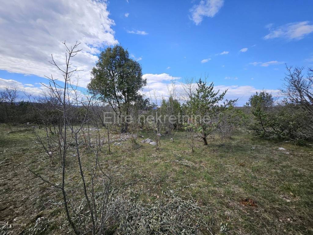 Agricultural plot, Sale, Krk, Skrbčići