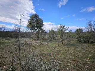 Agricultural plot, Sale, Krk, Skrbčići