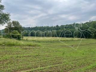 Agricultural plot, Sale, Netretić, Gornje Prilišće