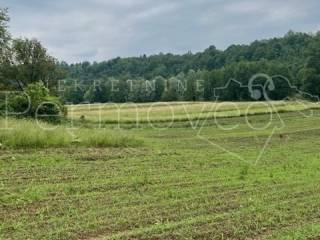 Agricultural plot, Sale, Netretić, Gornje Prilišće