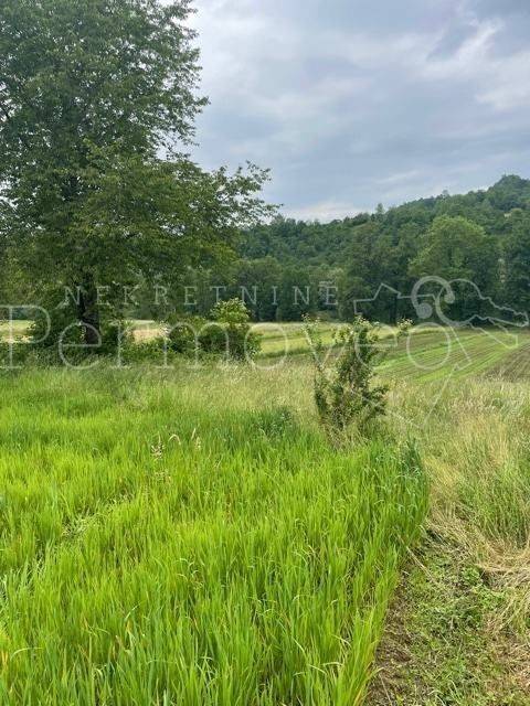 Agricultural plot, Sale, Netretić, Gornje Prilišće