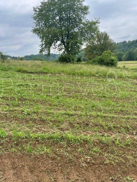 Agricultural plot, Sale, Netretić, Gornje Prilišće