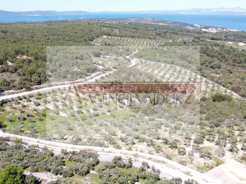 Poljoprivredno zemljiste, Prodaja, Sutivan, Sutivan