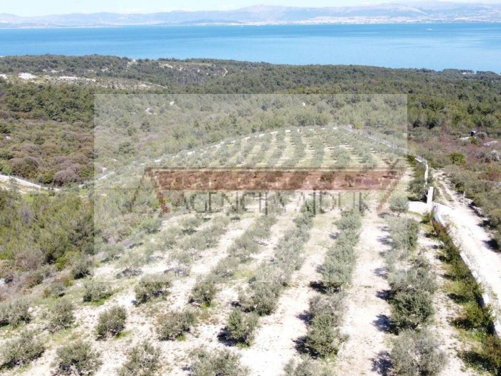 Poljoprivredno zemljiste, Prodaja, Sutivan, Sutivan