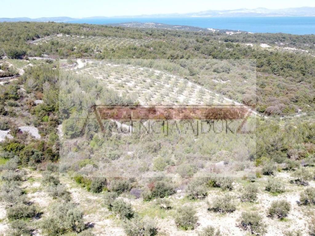 Poljoprivredno zemljiste, Prodaja, Sutivan, Sutivan