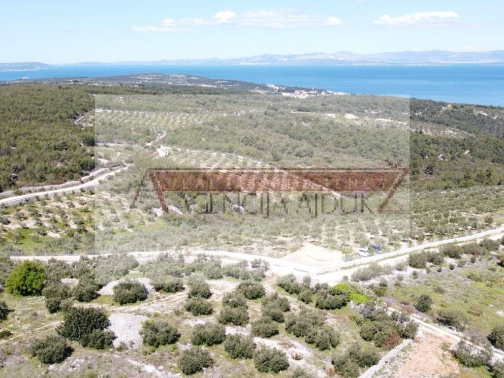 Poljoprivredno zemljiste, Prodaja, Sutivan, Sutivan