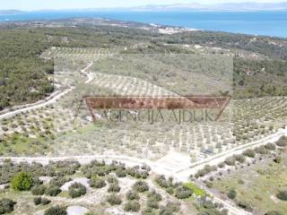 Poljoprivredno zemljiste, Prodaja, Sutivan, Sutivan