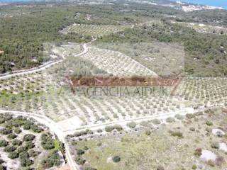 Poljoprivredno zemljiste, Prodaja, Sutivan, Sutivan