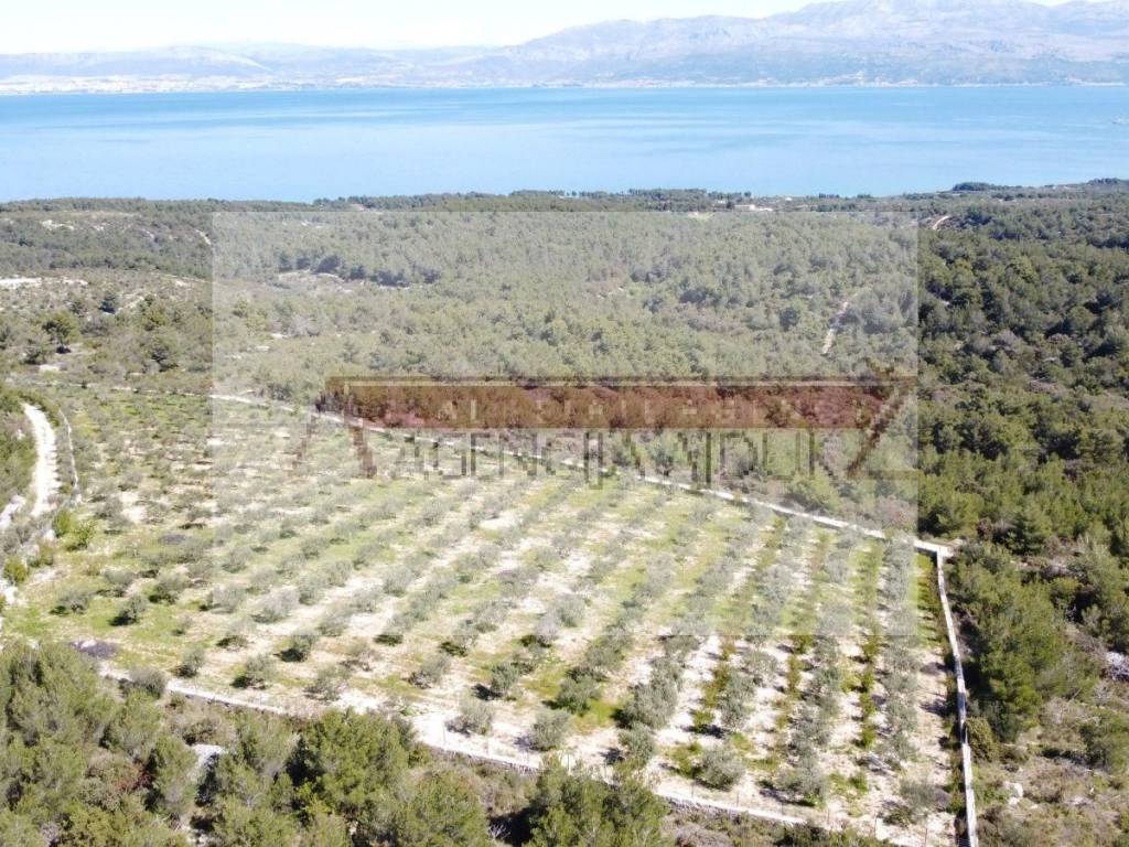 Poljoprivredno zemljiste, Prodaja, Sutivan, Sutivan