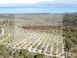 Poljoprivredno zemljiste, Prodaja, Sutivan, Sutivan
