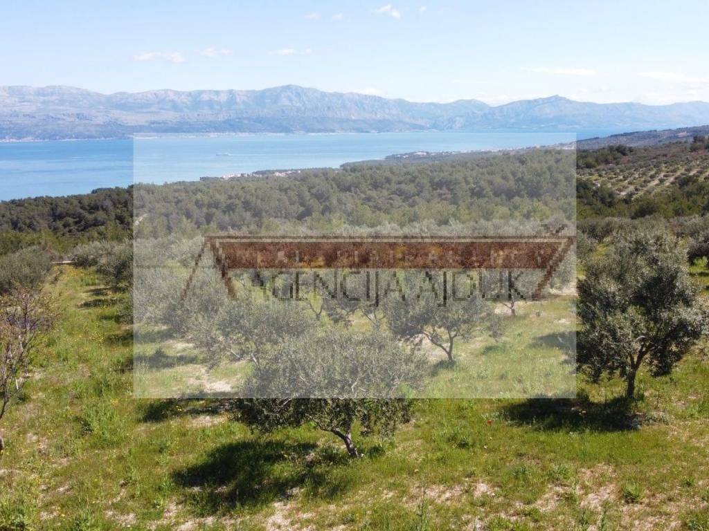 Poljoprivredno zemljiste, Prodaja, Sutivan, Sutivan