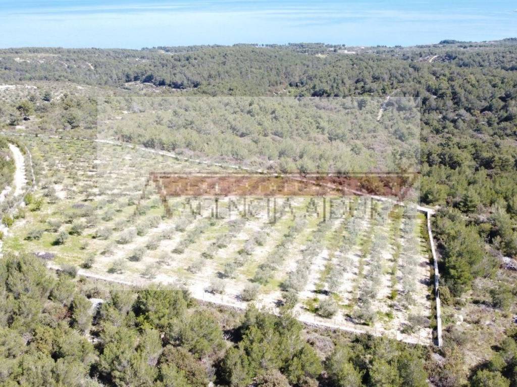 Poljoprivredno zemljiste, Prodaja, Sutivan, Sutivan