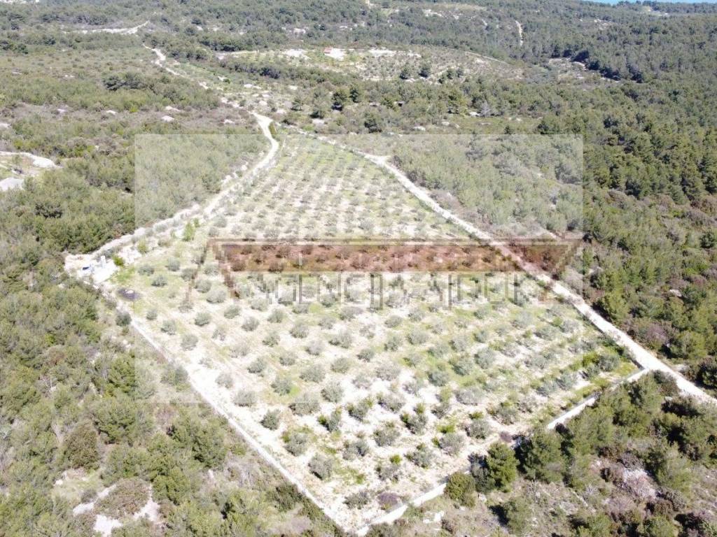 Poljoprivredno zemljiste, Prodaja, Sutivan, Sutivan