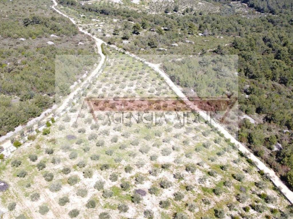Poljoprivredno zemljiste, Prodaja, Sutivan, Sutivan