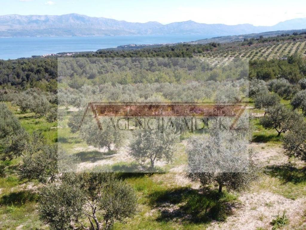 Poljoprivredno zemljiste, Prodaja, Sutivan, Sutivan