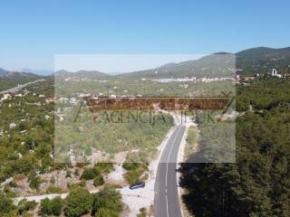 Poljoprivredno zemljiste, Prodaja, Zagvozd, Zagvozd