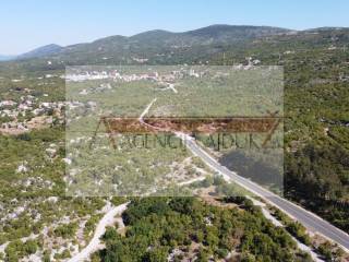 Poljoprivredno zemljiste, Prodaja, Zagvozd, Zagvozd