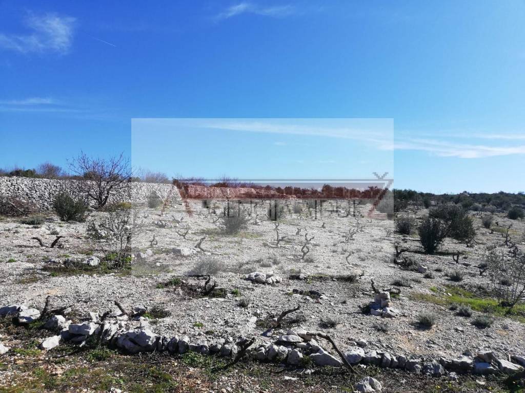 Poljoprivredno zemljiste, Prodaja, Rogoznica, Oglavci