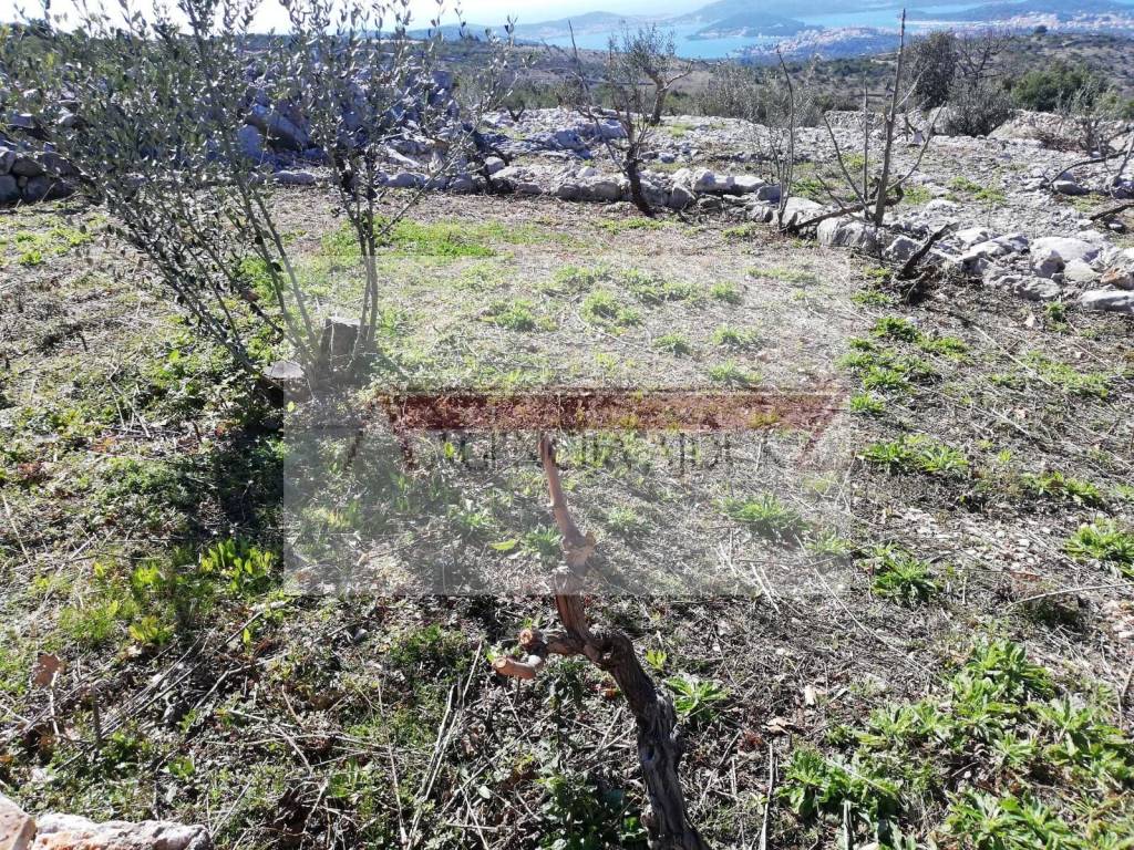 Poljoprivredno zemljiste, Prodaja, Rogoznica, Oglavci