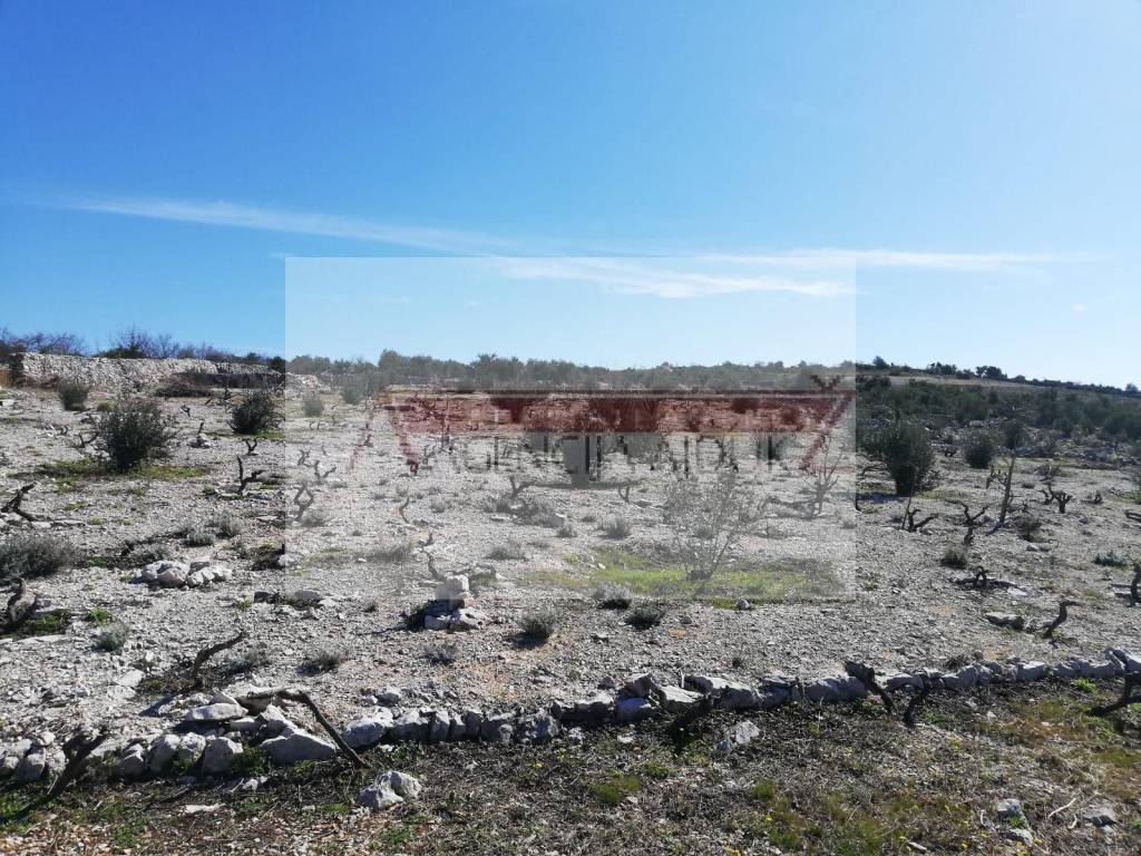 Poljoprivredno zemljiste, Prodaja, Rogoznica, Oglavci