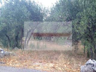 Gradjevinsko zemljiste, Prodaja, Dubrovacko primorje, Banici