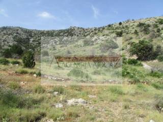 Poljoprivredno zemljiste, Prodaja, Bol, Bol