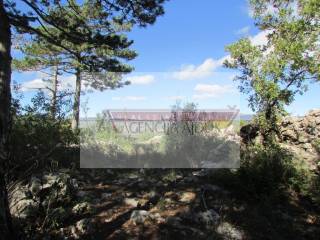 Zemljiste, Prodaja, Imotski