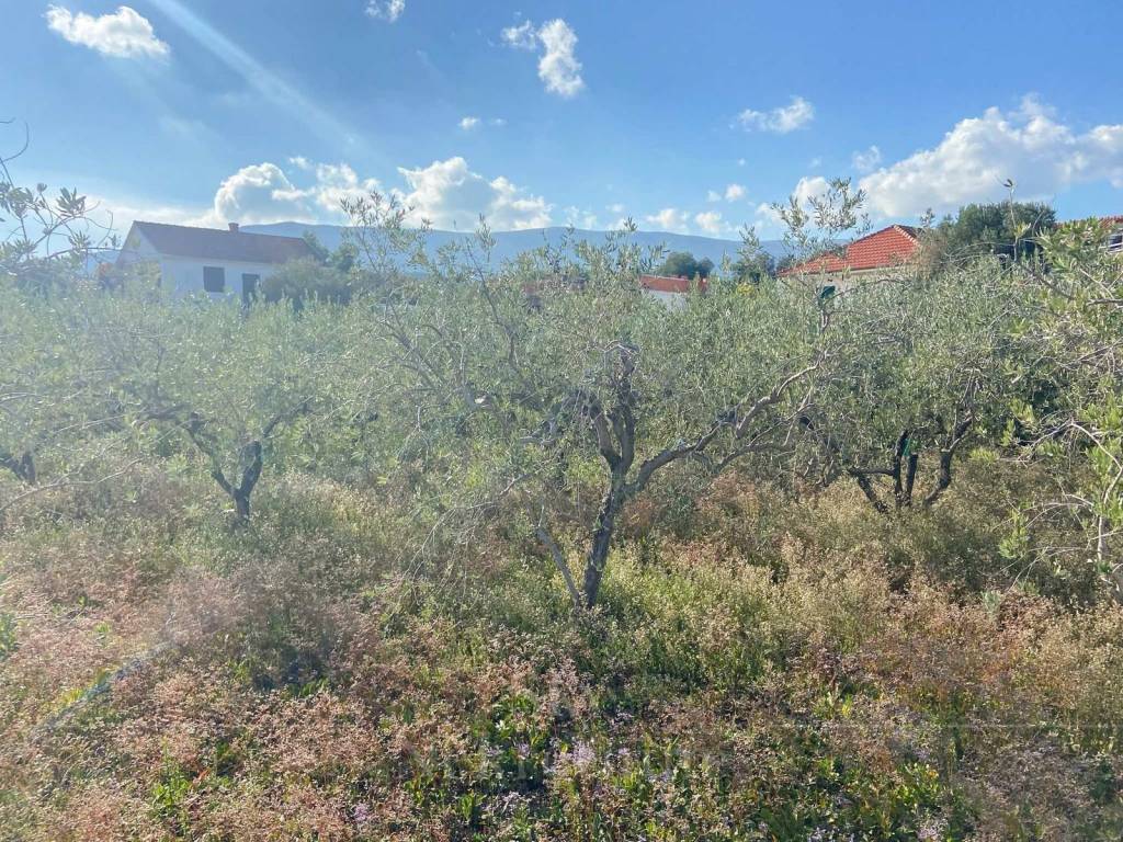 Plot for construction, Sale, Janjina, Sreser