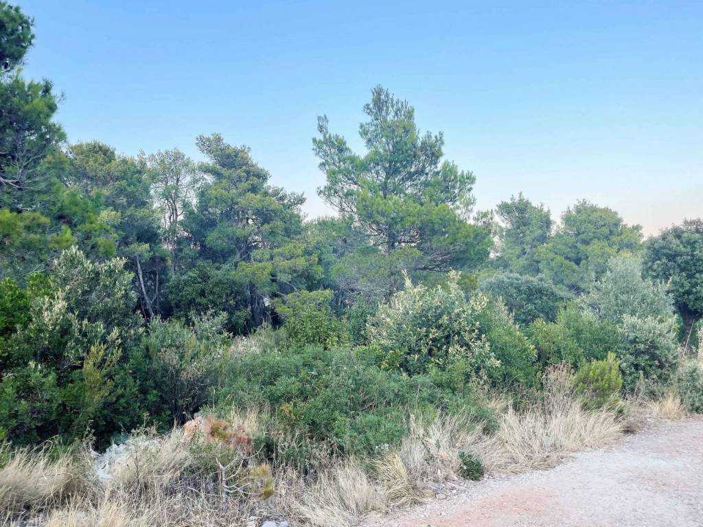 Plot for construction, Sale, Janjina, Sreser