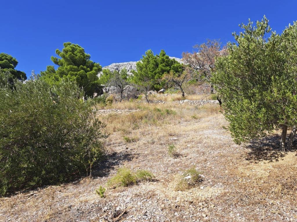 Plot for construction, Sale, Omiš, Marušići