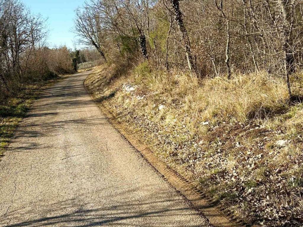 Plot for construction, Sale, Buzet, Sovinjak