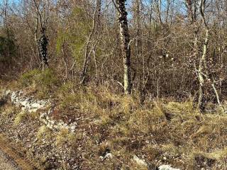 Plot for construction, Sale, Buzet, Sovinjak