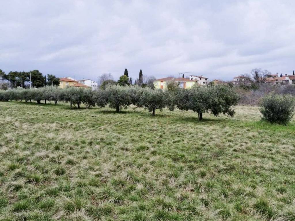 Land plot - other, Sale, Umag, Murine