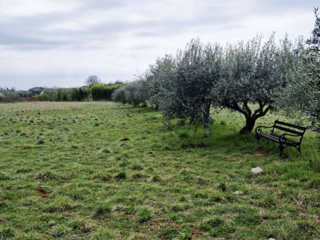 Land plot - other, Sale, Umag, Murine