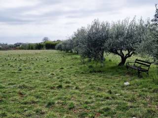 Land plot - other, Sale, Umag, Murine
