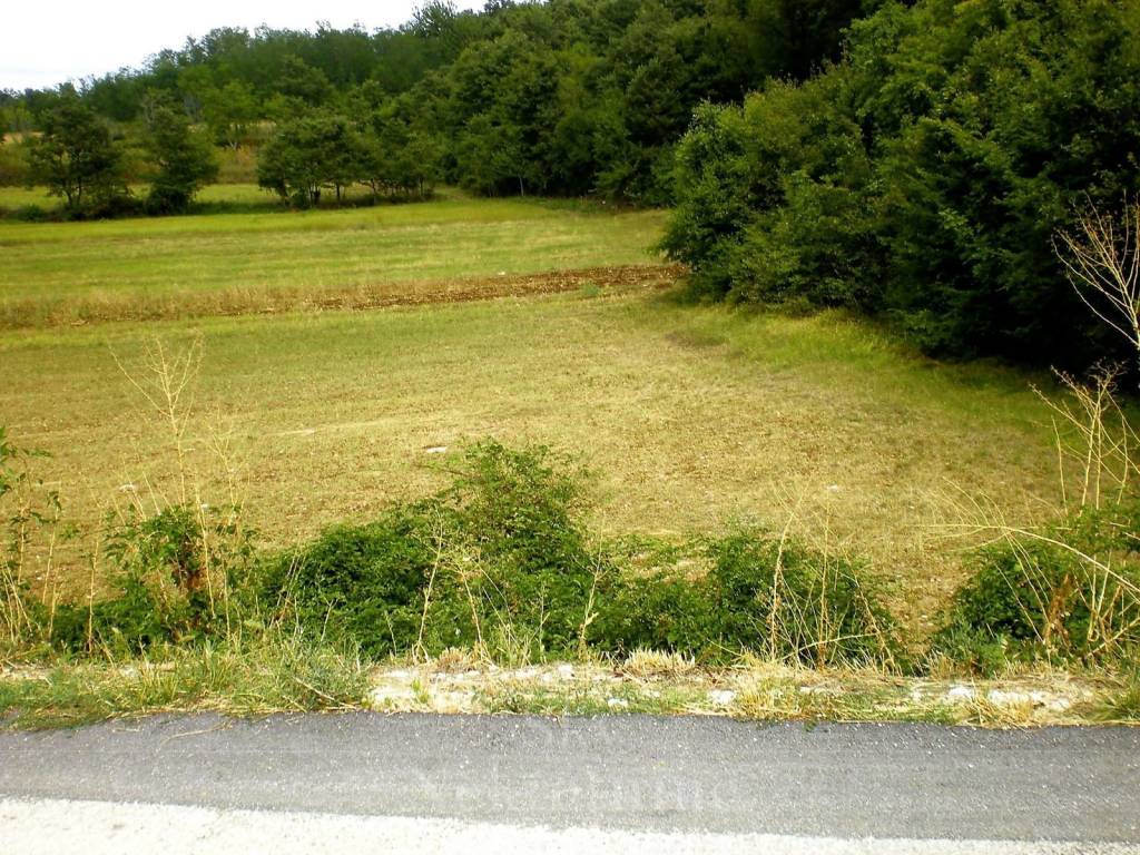 Plot for construction, Sale, Kanfanar, Dubravci