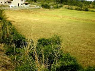 Plot for construction, Sale, Kanfanar, Dubravci