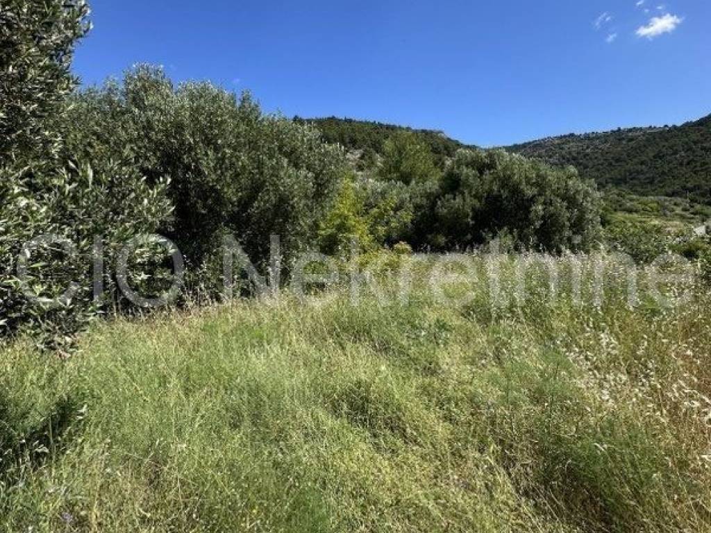 Stone house, Sale, Bol, Bol