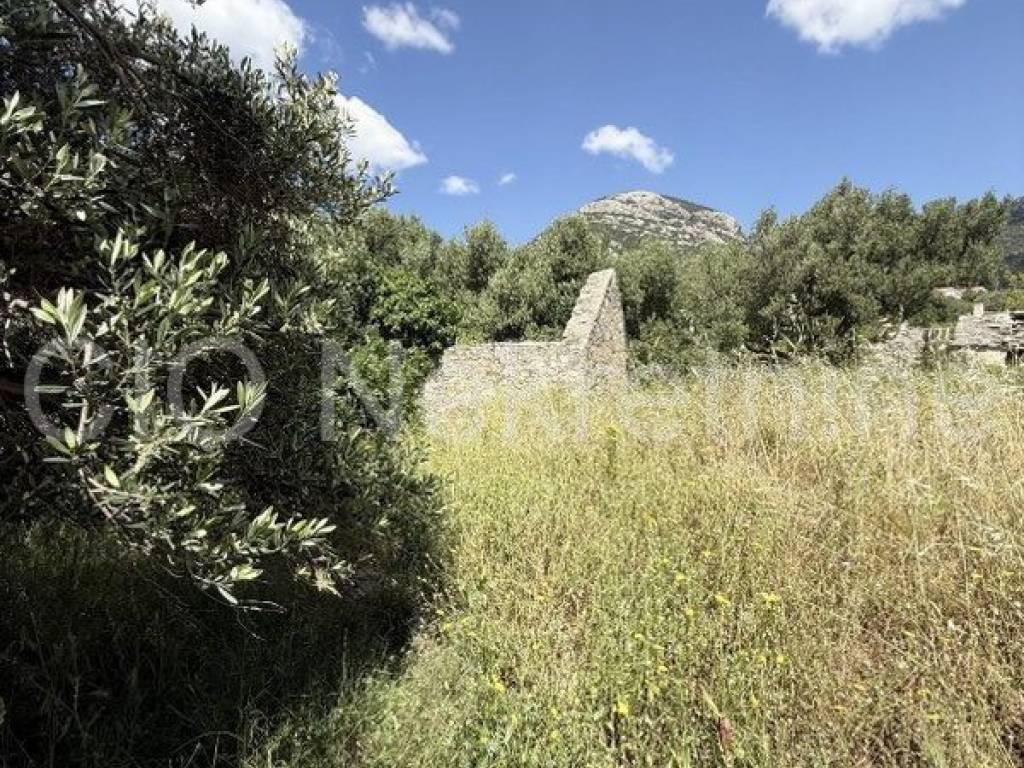 Stone house, Sale, Bol, Bol