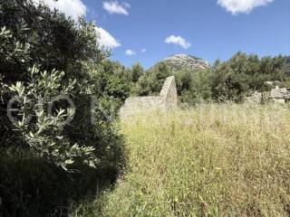Stone house, Sale, Bol, Bol